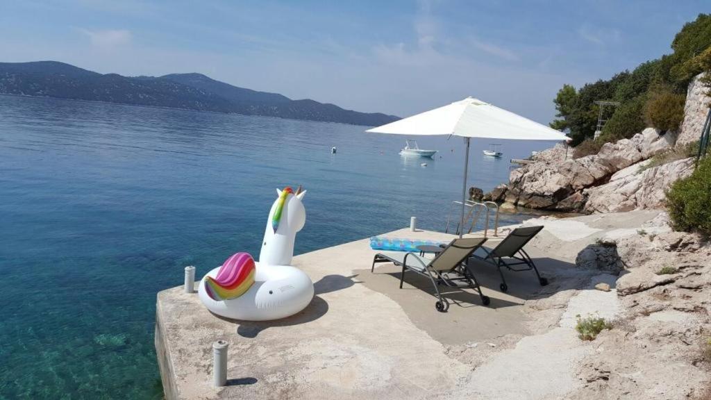 Holiday Home Odiseja Slano Ngoại thất bức ảnh